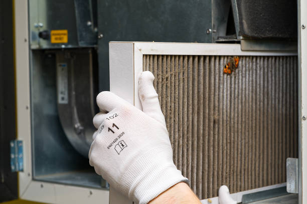 Best Home Air Vent Cleaning  in Vista Santa Rosa, CA